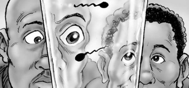 After spaying, time to pick up Styx