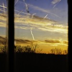 Keisha Williams is at peace. We are not